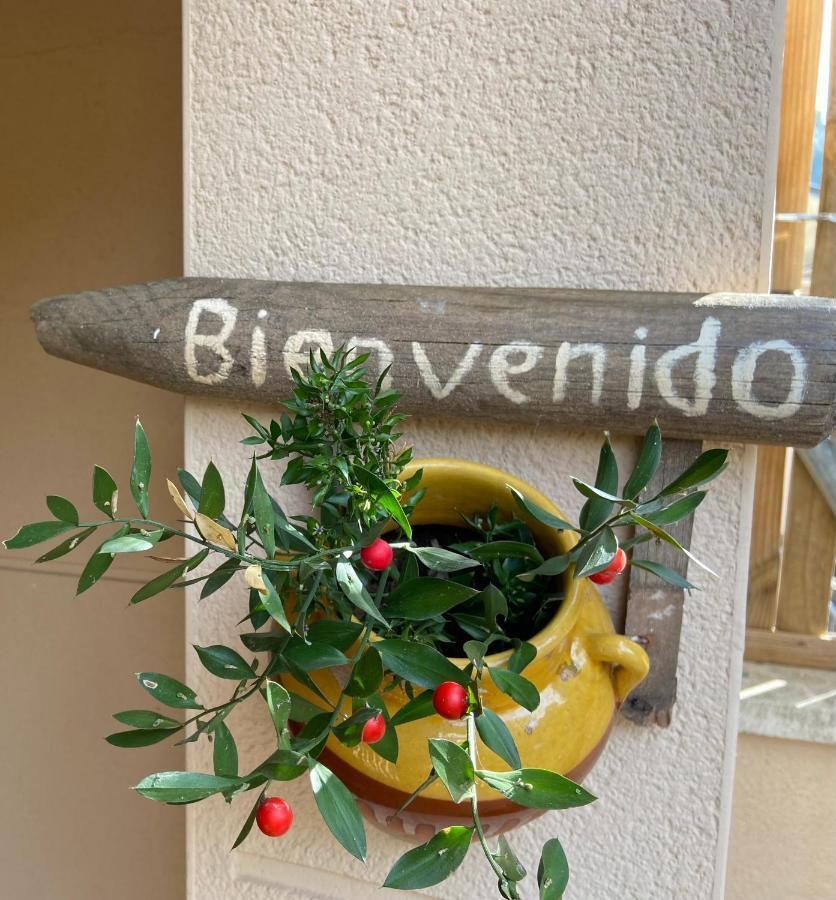 Raco Del Garraf Ca La Matilde House Bbq And Pool Villa Olivella ภายนอก รูปภาพ